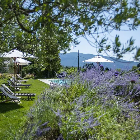 Agriturismo Gaiasofia - Adults Only Apartment Caprino Veronese